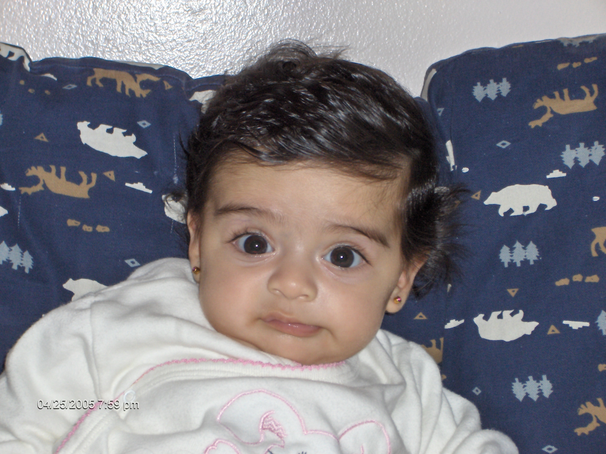 hpim0647.jpg